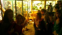 /album/csopa-es-tropicarium/dsc-1064-jpg/
