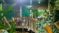 /album/csopa-es-tropicarium/dsc-1069-jpg/