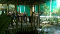 /album/csopa-es-tropicarium/dsc-1075-jpg/