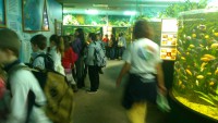 /album/csopa-es-tropicarium/dsc-1083-jpg/