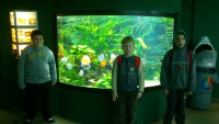 /album/csopa-es-tropicarium/dsc-1084-jpg/