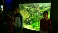 /album/csopa-es-tropicarium/dsc-1087-jpg/
