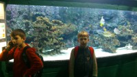 /album/csopa-es-tropicarium/dsc-1089-jpg/