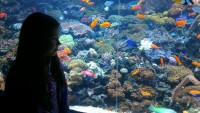 /album/csopa-es-tropicarium/dsc-1175-jpg/