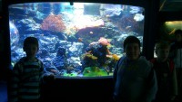 /album/csopa-es-tropicarium/dsc-1176-jpg/