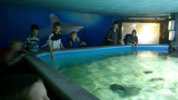/album/csopa-es-tropicarium/dsc-1186-jpg/