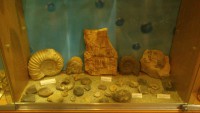 /album/csopa-es-tropicarium/dsc-1190-jpg/